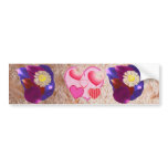 Express Your Love - edit n add your text bumper stickers