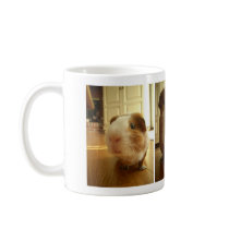 Expressions of a Guinea Pig: Mug