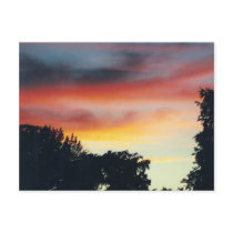Exquisite Sunset - postcard