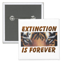 Extinction is forever pinback button