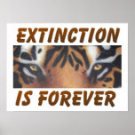 Extinction is forever posters