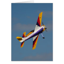 Extra 300 Card