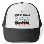 Extremely Naughty Afghan Hound hats