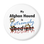 Extremely Naughty Afghan Hound magnets