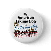 Extremely Naughty American Eskimo Dog