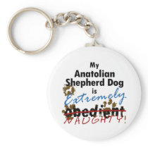 Extremely Naughty Anatolian Shepherd Dog