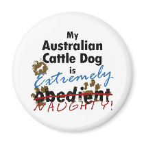 Extremely Naughty Australian Cattle Dog