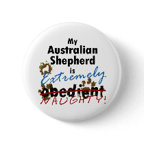 Extremely Naughty Australian Shepherd