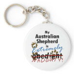 Extremely Naughty Australian Shepherd