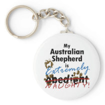 Extremely Naughty Australian Shepherd