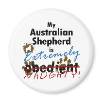 Extremely Naughty Australian Shepherd