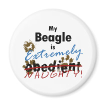 Extremely Naughty Beagle