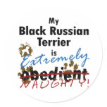 Extremely Naughty Black Russian Terrier