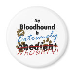 Extremely Naughty Bloodhound magnets