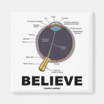 Eye Believe (Anatomical Humour) Fridge Magnet