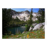 Eye Candy Postcard