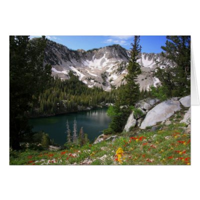 Eye Candy Postcard by PhotoJunkyGeno