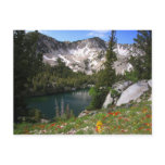 Eye Candy Postcard