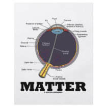 (Eye) Matter (Anatomical Humour)