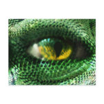 Eye of a.. postcards