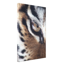 Eye of a Tiger Gallery Wrapped Canvas