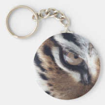 Eye of a Tiger Key Chain