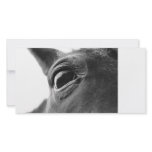 Eye of pony 1 custom photo card