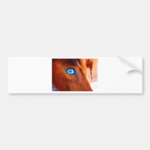Eye of the Horse Bumper Sticker