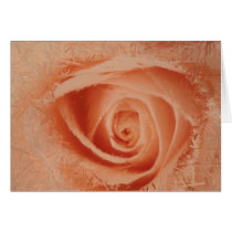 Eye of the Rose Card
