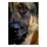 Eye of the Shepherd ACEO Art Trading Cards business cards