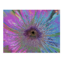 Eye of the Storm Postcards