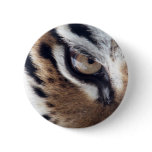Eye of the Tiger Pinback Button