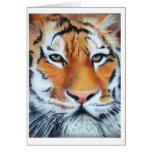 Eye of The Tiger cards