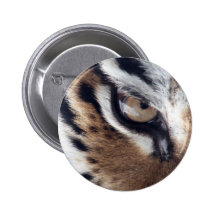 Eye of the Tiger Pinback Button