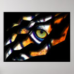Eye Of The Tiger Tear Through posters