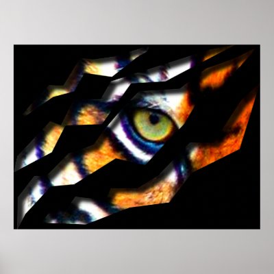 Eye Of The Tiger Tear Through Print by DragonCat
