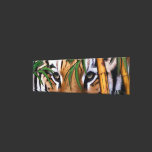 Eye Of the Tiger Wrapped Canvas canvas prints
