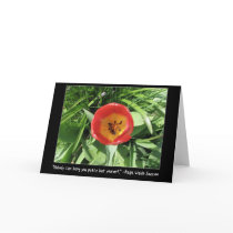 Eye of the Tulip
