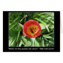 Eye of the Tulip Card