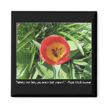 Eye of the Tulip
