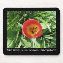 Eye of the Tulip
