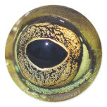 Eye of Toad stickers