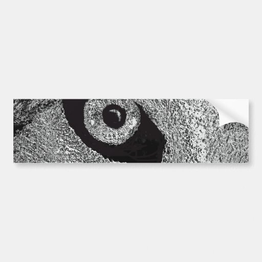 eye of wolf bumper sticker