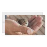Eye on the Sparrow Christian Photo Card photo cards