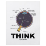 (Eye) Think (Anatomical Humour) flyers