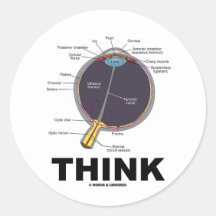 Eye Think (I Think Anatomical Eye Humour) Sticker