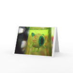 eyeball toy greeting cards