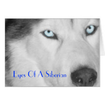 Eyes Of A Siberian II (B/W) Greeting Card