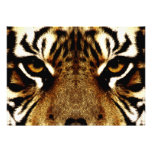 Eyes of a Tiger Personalized Invitations