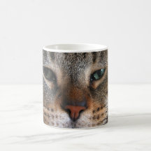 Eyes of Cat Mug